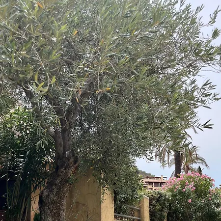 Sardinia Villa